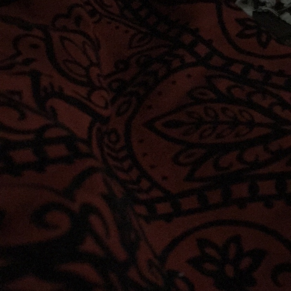 Meet your Posher, Delilah